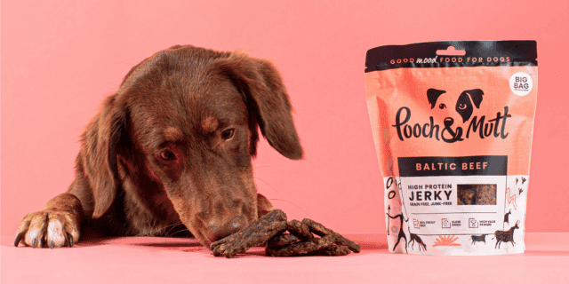 Pooch and Mutt reward image